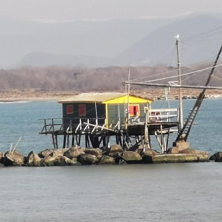 Casa Galileo- Antiche Dimore Pisane Dış mekan fotoğraf